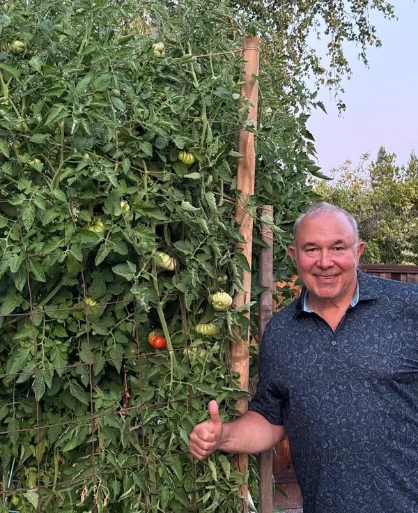 Jeff Bruno with tomato plant