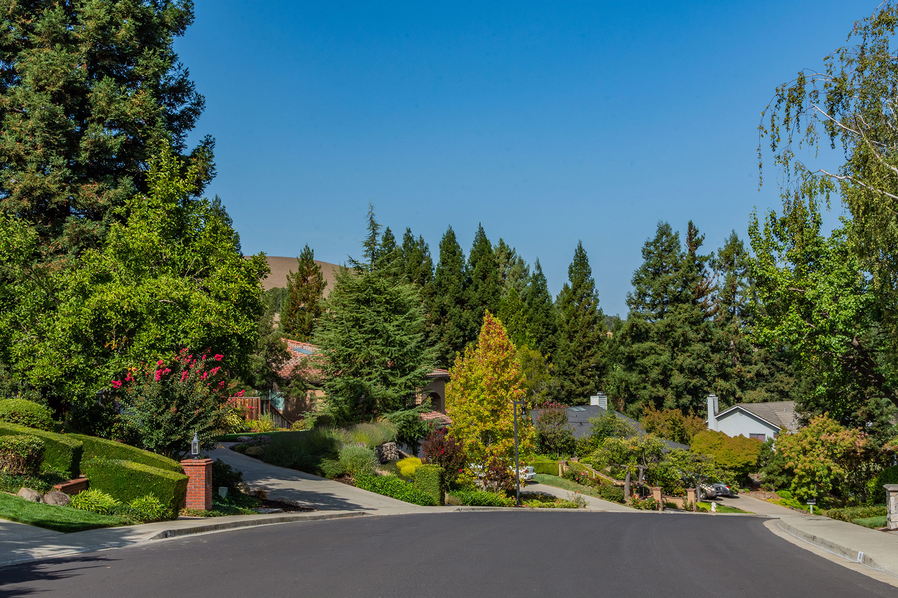 Central Camino Tassajara Community