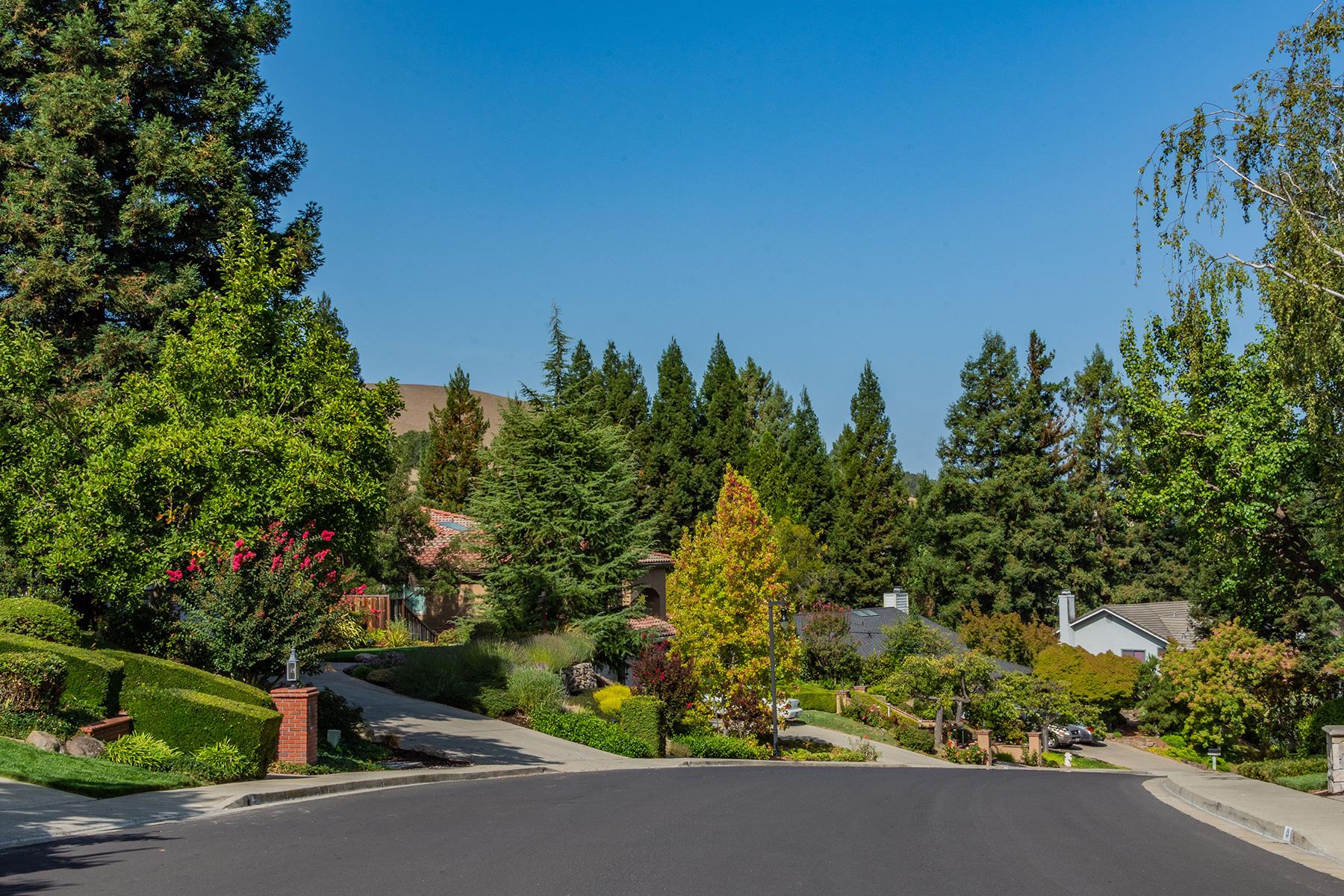 Central Camino Tassajara Community